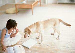 豊富な種類の犬用サプリが買えるサイト